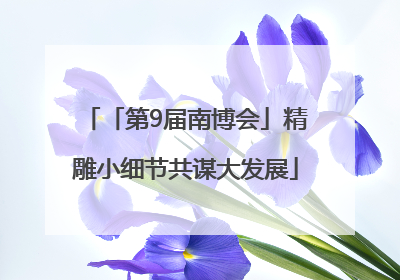 「第9届南博会」精雕小细节共谋大发展