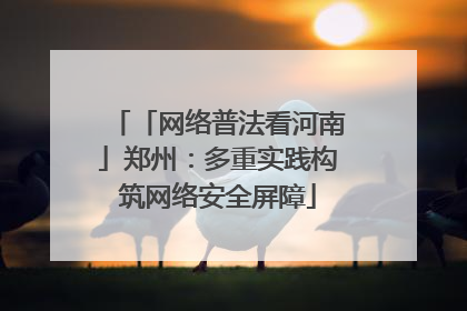 「网络普法看河南」郑州：多重实践构筑网络安全屏障