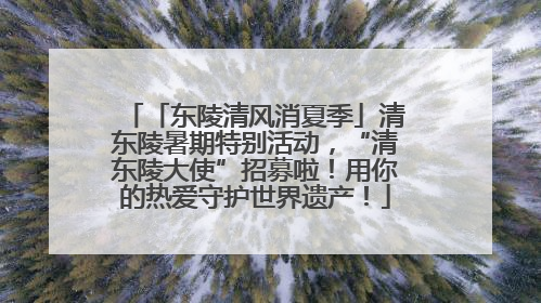 「东陵清风消夏季」清东陵暑期特别活动，“清东陵大使”招募啦！用你的热爱守护世界遗产！