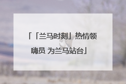 「兰马时刻」热情领嗨员 为兰马站台