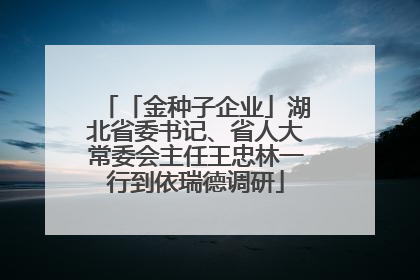 「金种子企业」湖北省委书记、省人大常委会主任王忠林一行到依瑞德调研