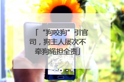 “狗咬狗”引官司，狗主人屡次不牵狗绳担全责