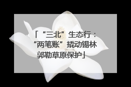 “三北”生态行：“两笔账”撬动锡林郭勒草原保护
