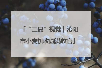 “三夏”视觉｜沁阳市小麦机收圆满收官