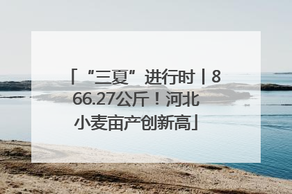 “三夏”进行时丨866.27公斤！河北小麦亩产创新高