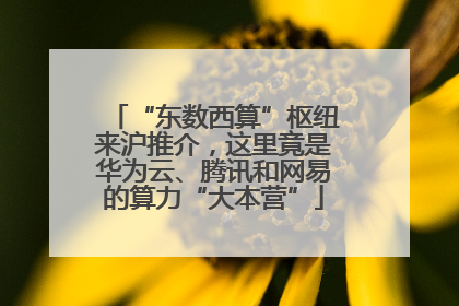 “东数西算”枢纽来沪推介，这里竟是华为云、腾讯和网易的算力“大本营”