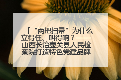 “两把扫帚”为什么立得住、叫得响？——山西长治壶关县人民检察院打造特色党建品牌激活发展动能