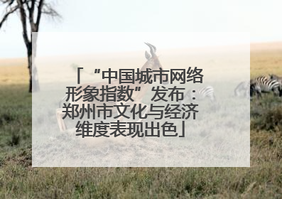 “中国城市网络形象指数”发布：郑州市文化与经济维度表现出色