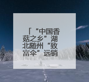 “中国香菇之乡”湖北随州“致富伞”远销海外