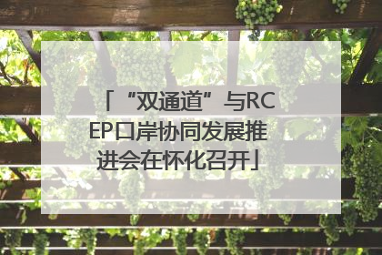 “双通道”与RCEP口岸协同发展推进会在怀化召开