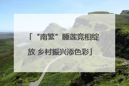 “南繁”睡莲竞相绽放 乡村振兴添色彩
