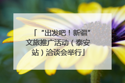 “出发吧！新疆”文旅推广活动（泰安站）洽谈会举行