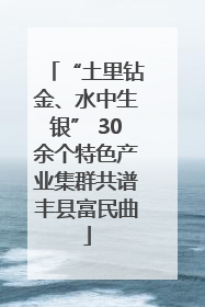 “土里钻金、水中生银” 30余个特色产业集群共谱丰县富民曲