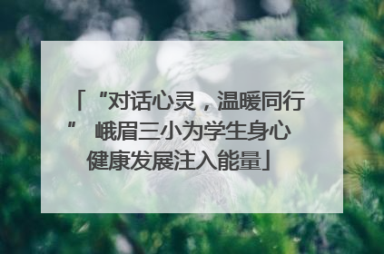 “对话心灵，温暖同行” 峨眉三小为学生身心健康发展注入能量