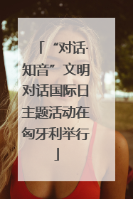 “对话·知音”文明对话国际日主题活动在匈牙利举行