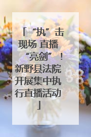 “执”击现场 直播“亮剑”！新野县法院开展集中执行直播活动