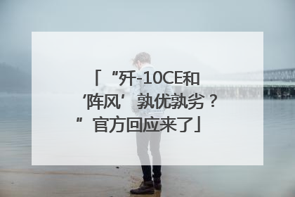 “歼-10CE和‘阵风’孰优孰劣？”官方回应来了