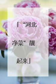 “河北净菜”靓起来