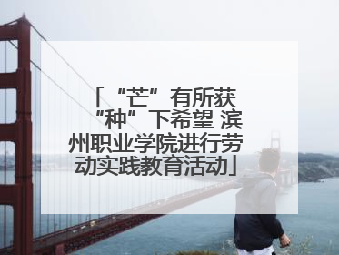 “芒”有所获 “种”下希望 滨州职业学院进行劳动实践教育活动
