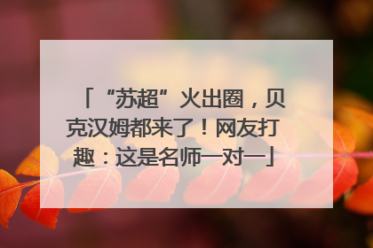 “苏超”火出圈，贝克汉姆都来了！网友打趣：这是名师一对一