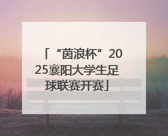“茵浪杯”2025襄阳大学生足球联赛开赛