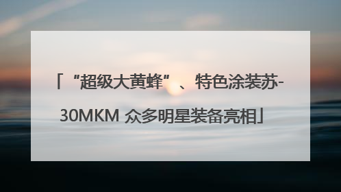 “超级大黄蜂”、特色涂装苏-30MKM 众多明星装备亮相