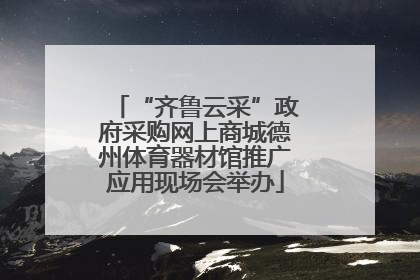 “齐鲁云采”政府采购网上商城德州体育器材馆推广应用现场会举办