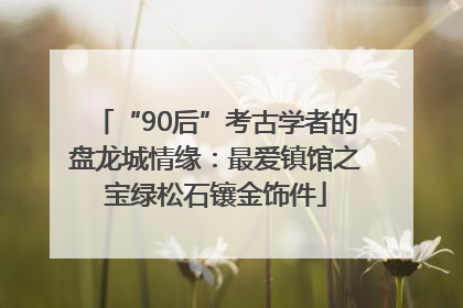 “90后”考古学者的盘龙城情缘：最爱镇馆之宝绿松石镶金饰件