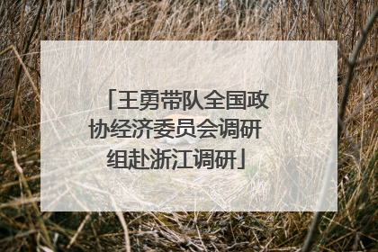 王勇带队全国政协经济委员会调研组赴浙江调研