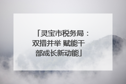 灵宝市税务局：双措并举 赋能干部成长新动能