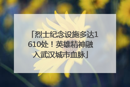 烈士纪念设施多达1610处！英雄精神融入武汉城市血脉