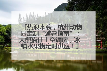 热浪来袭，杭州动物园定制“避暑指南”：大熊猫住上空调房，冰镇水果捞定时供应！
