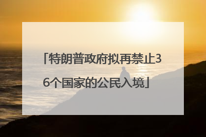 特朗普政府拟再禁止36个国家的公民入境