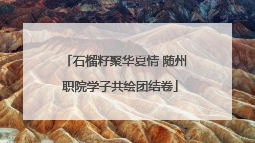 石榴籽聚华夏情 随州职院学子共绘团结卷