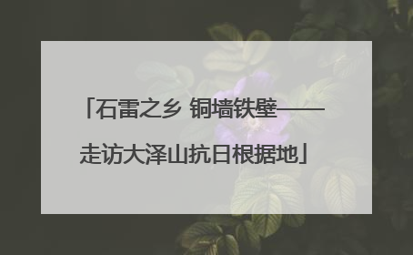 石雷之乡 铜墙铁壁——走访大泽山抗日根据地