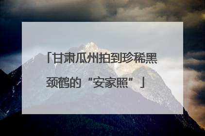 甘肃瓜州拍到珍稀黑颈鹤的“安家照”