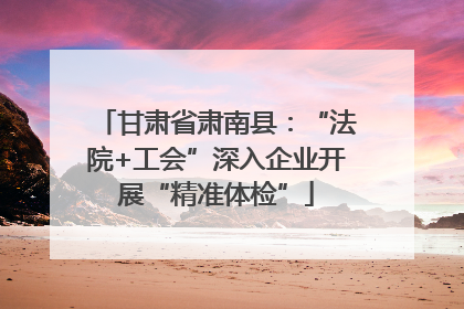 甘肃省肃南县：“法院+工会”深入企业开展“精准体检”