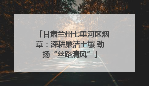 甘肃兰州七里河区烟草：深耕廉洁土壤 劲扬“丝路清风”