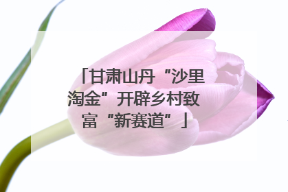 甘肃山丹“沙里淘金”开辟乡村致富“新赛道”