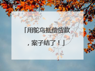 用鸵鸟抵偿货款，案子结了！