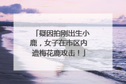 疑因拍刚出生小鹿，女子在市区内遭梅花鹿攻击！