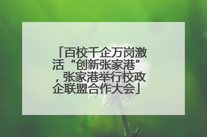 百校千企万岗激活“创新张家港”，张家港举行校政企联盟合作大会