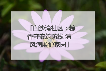 白沙湾社区：粽香守安筑防线 清风润廉护家园