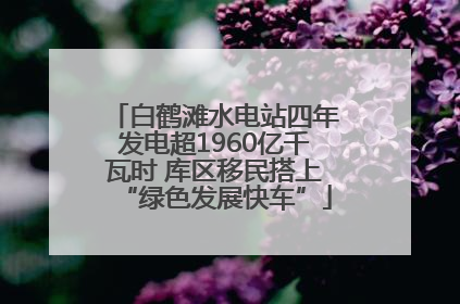 白鹤滩水电站四年发电超1960亿千瓦时 库区移民搭上“绿色发展快车”