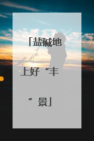 盐碱地上好“丰”景