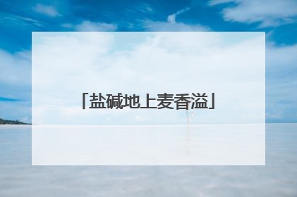 盐碱地上麦香溢