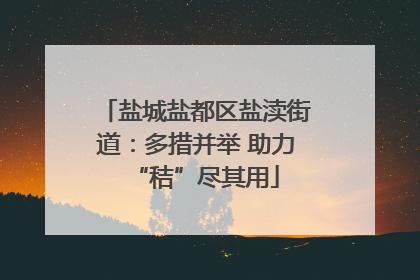 盐城盐都区盐渎街道：多措并举 助力“秸”尽其用
