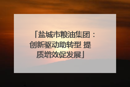 盐城市粮油集团：创新驱动助转型 提质增效促发展