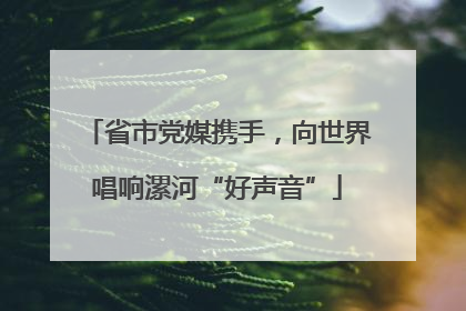 省市党媒携手，向世界唱响漯河“好声音”