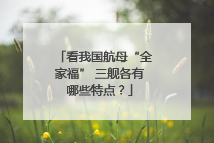 看我国航母“全家福” 三舰各有哪些特点？